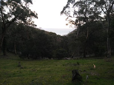 lodging
