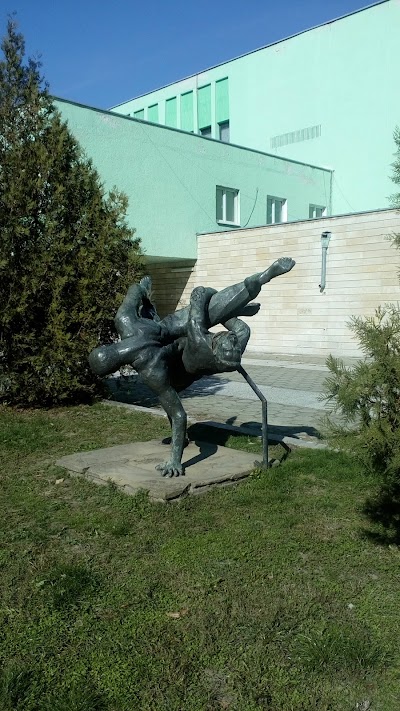 Photos of Sport Hall Diana