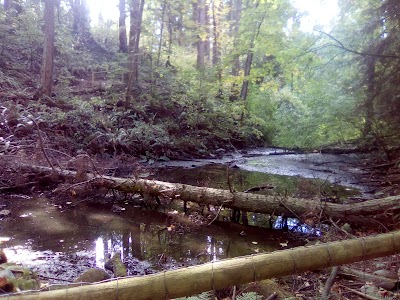 Photos of Mystic Vale