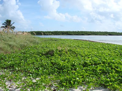 Photos of Bahia Honda State Park