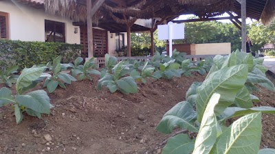 Photos of Cigar Factory Stores and Country Tours