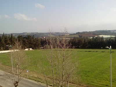 Photos of Centre ville de Nador
