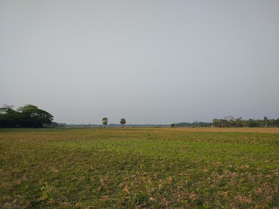 Photos of Choto Bhaijora Mridha Bari Jame Masjid