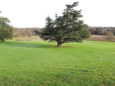 Photos of Gerard McDonnell Memorial Tree