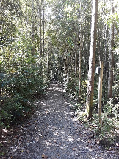 Photos of Atma Bosque