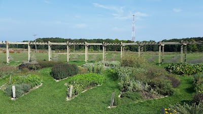 Photos of Cherry Point Farm And Market