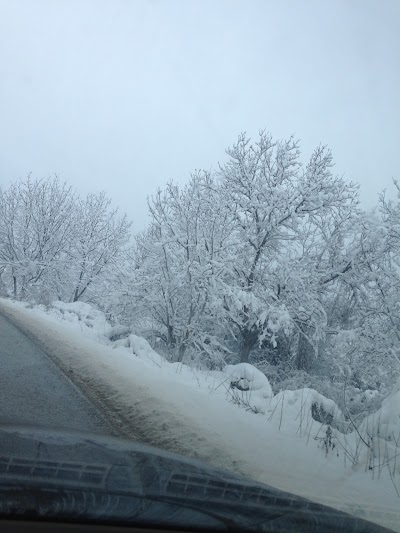 Photos of Cherven Bryag
