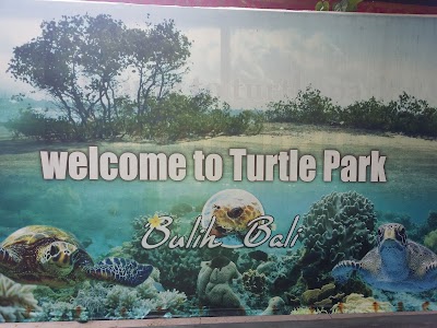 Photos of Turtle Park