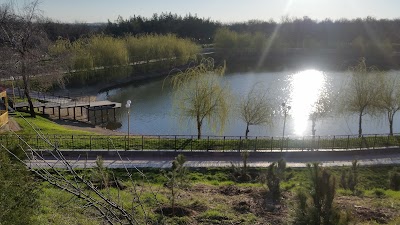 Photos of Дендропарк