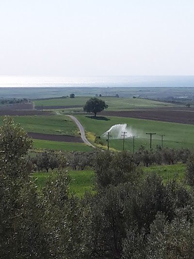 Photos of Hotel Villa Sevasti