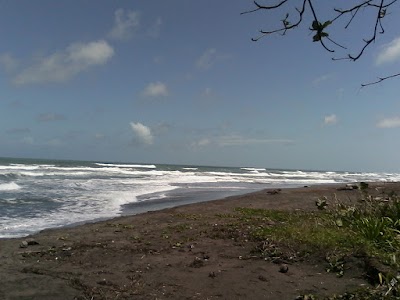 Photos of Cabinas Balcon del Mar Tortuguero