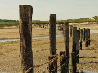 Photos of Immo Scaldis