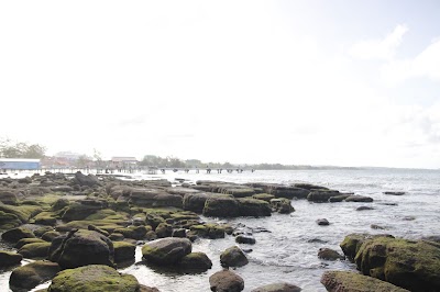 Photos of Rocky Ocean View Bungalows