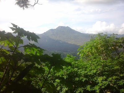 Photos of Surya Hotel and Restaurant