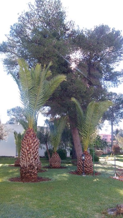 Photos of Golden Tulip Farah Khouribga Hotel
