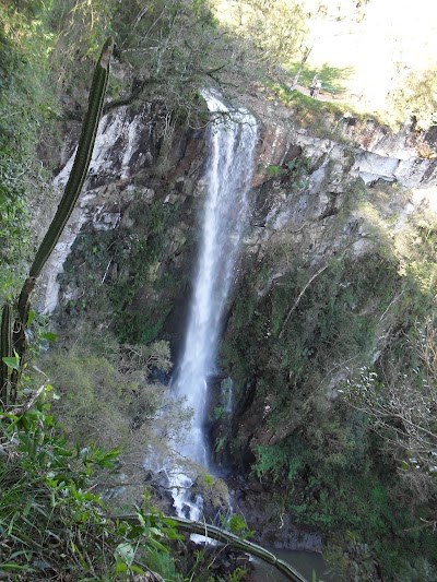 Photos of Farmacia Salto Encantado