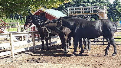 Photos of Akron Acres