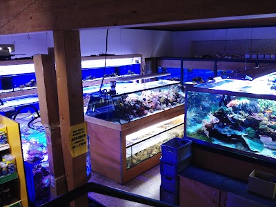 Photos of Aquarium Bach