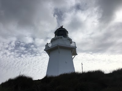 Photos of The Catlins