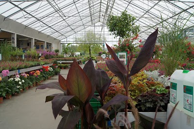Photos of Hove Plantesalg