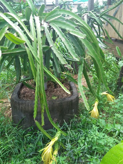 Photos of Nakru Spean Thmey