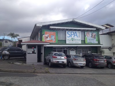 Photos of MioDerma SPA Ritual Los Yoses