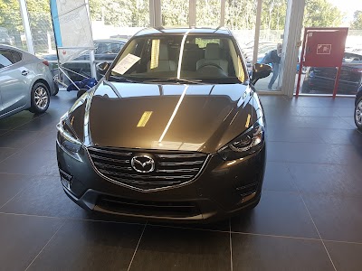 car-dealer