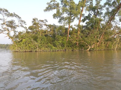 Photos of কালাব&zwnj;গি, দা&zwnj;কোপ, সুন্দরবন