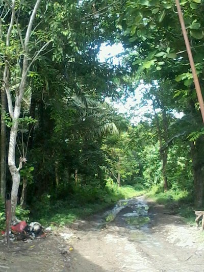 Photos of SD Negeri Pamarayan 03