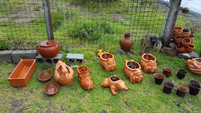 Photos of Finca La Victoria