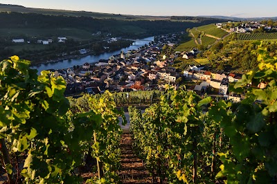 Photos of Domaine Viticole Schumacher-Lethal
