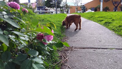 park