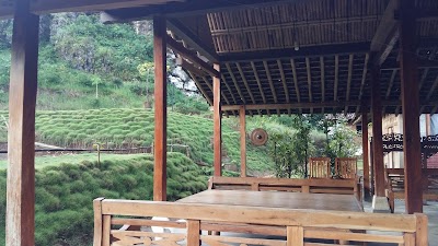 lodging