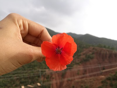 Photos of Les Terres D'amanar