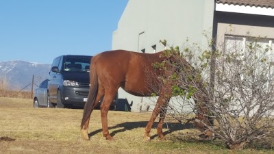 Photos of Ezulwini Berg Resort