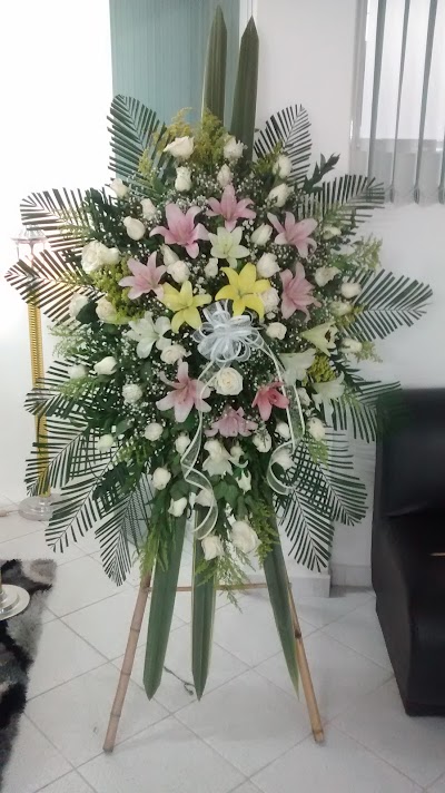 Photos of Floristeria Y Variedades Socorro Tropical