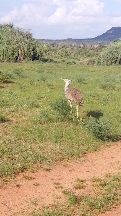 Photos of Saruni Samburu