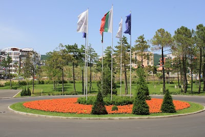 Photos of Ava Park
