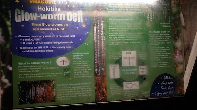 Photos of Glow Worm Dell