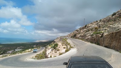 Photos of Tamri National Park