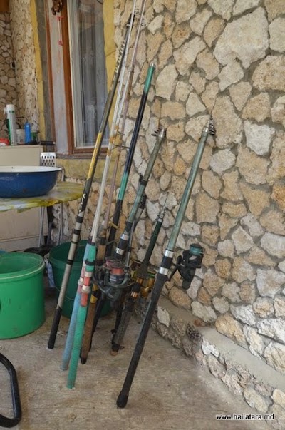 Photos of Hailatara Guest House at Agripina