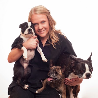 Photos of Kingsville Animal Clinic