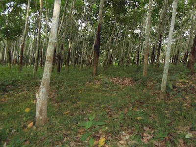 park