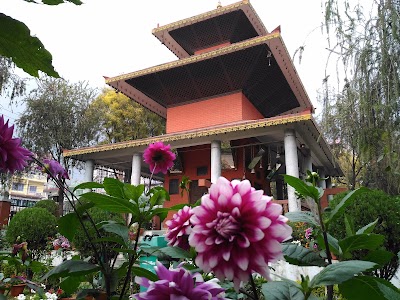 Photos of Clock Tower