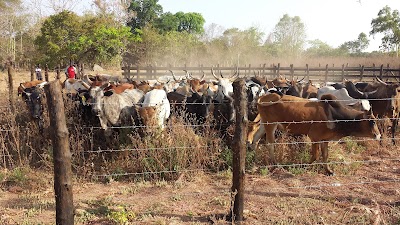 Photos of Ranch Idrissa Gbon Coulibaly