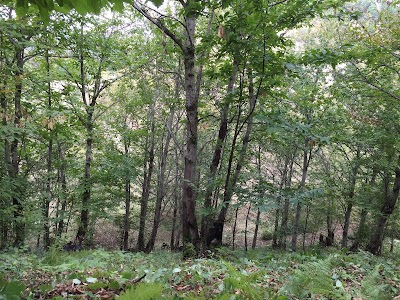 Photos of Sal Markja memorial park
