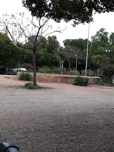 Photos of Kasskass Garden
