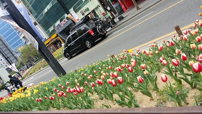 Photos of KYOBO Book Centre Daegu