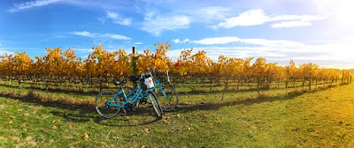 Photos of On Yer Bike Winery Tours