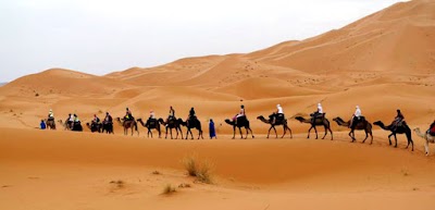 Photos of Desert Tours from Marrakech